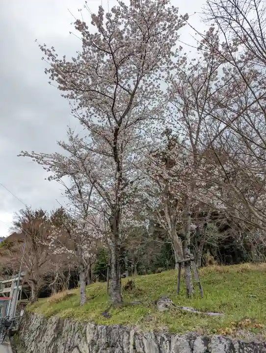 大原野神社(京都府)