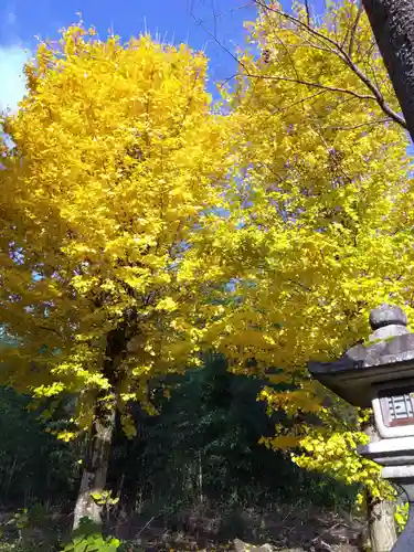 大處神社の庭園