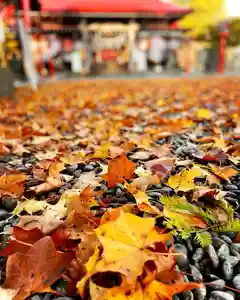 伊達神社(北海道)(2023年11月02日(木) 08時48分49秒投稿)