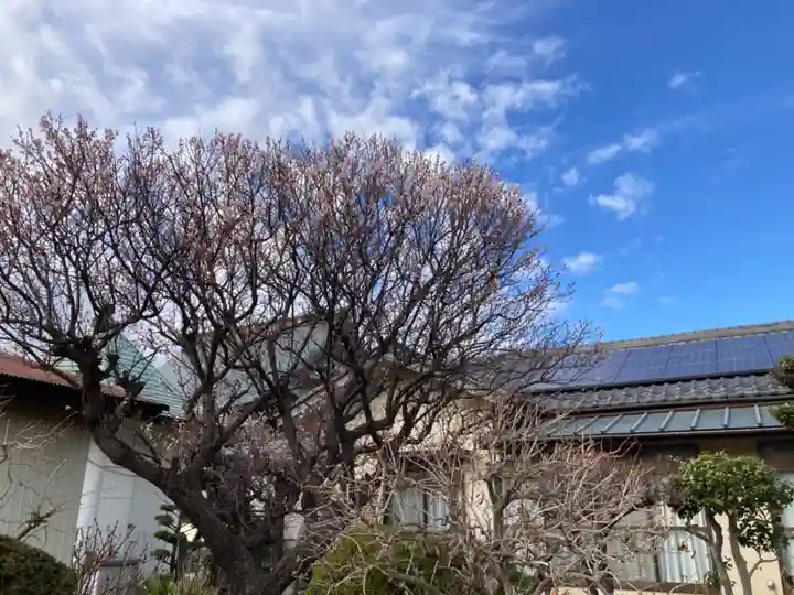 長善寺(神奈川県)