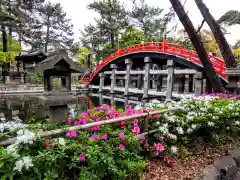 住吉大社の庭園