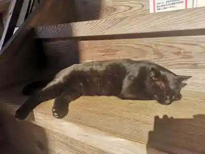 高司神社〜むすびの神の鎮まる社〜(福島県)