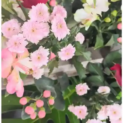 彌彦神社　(伊夜日子神社)の手水舎