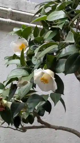 誓願寺(京都府)