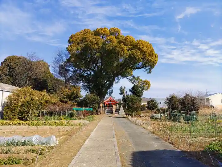 八幡社(外崎)のその他建物