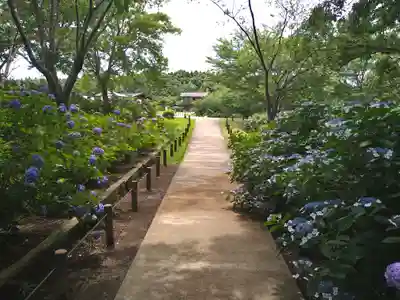 東本願寺本廟 牛久浄苑(牛久大仏)(茨城県)
