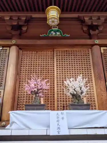 湯島天満宮(東京都)