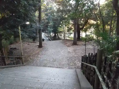 渋谷氷川神社(東京都)