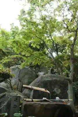 円通寺の手水舎