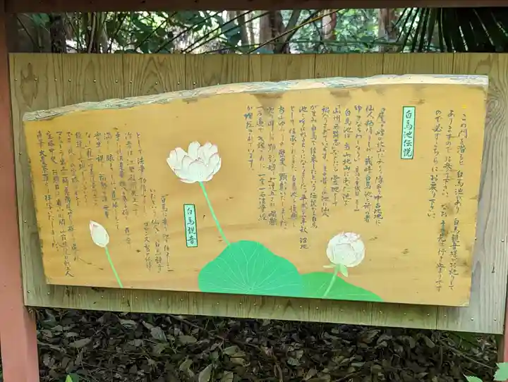 常照寺(京都府)