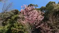 熊野若王子神社の自然