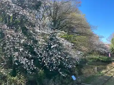 敷島神社(埼玉県)