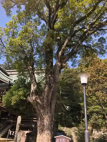筑波山神社(茨城県)