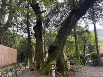 水屋神社(三重県)