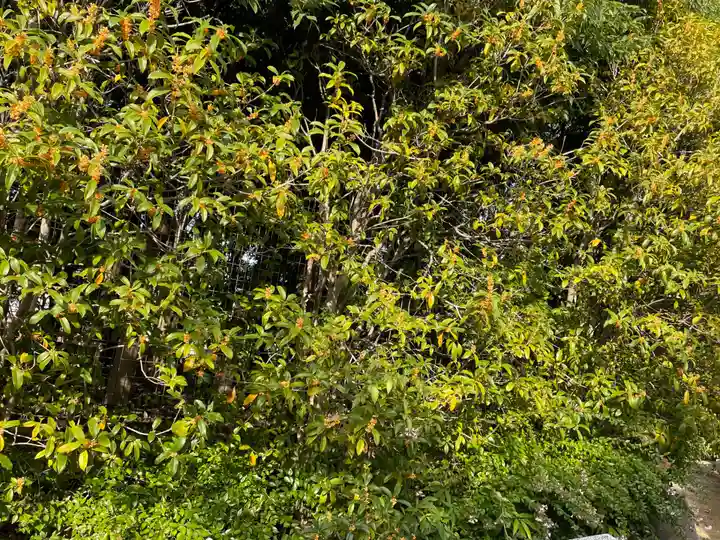 伊和志津神社(兵庫県)