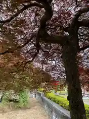 暮坪稲荷神社(福島県)