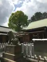 星川杉山神社の狛犬