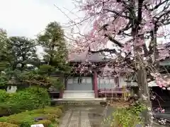 安立寺(東京都)