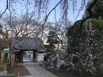 金蔵院の山門・神門