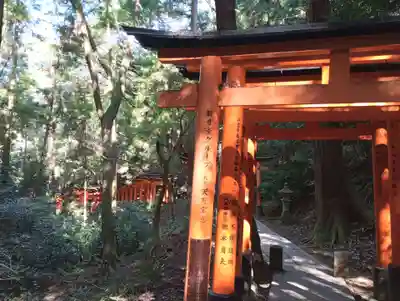 伏見稲荷大社(京都府)