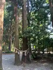 駒形神社(岩手県)