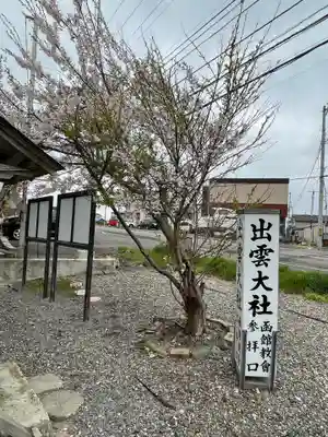 出雲大社函館教会の自然