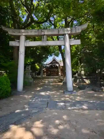 日吉神社の{uncategorized: "未分類", other: "その他", undefined: "問題あり", building: "その他建物", grave: "お墓", sacred_gate: "鳥居", guardian: "狛犬", statue: "像", buddha: "仏像", history: "歴史", nature: "自然", garden: "庭園", animal: "動物", pagoda: "塔", temizu: "手水舎", mountain_gate: "山門・神門", sanctuary: "本殿・本堂", subordinate: "末社・摂社", art: "芸術", scenery: "景色", jizo: "地蔵", ema: "絵馬", goshuin: "御朱印", omikuji: "おみくじ", items: "授与品その他", amulet: "お守り", goshuincho: "御朱印帳", eats: "食事", festival: "お祭り", votive_dance: "神楽", shichigosan: "七五三参", wedding: "結婚式", experience: "体験その他", initially: "初詣", around: "周辺", anti_infection: "感染症対策"}