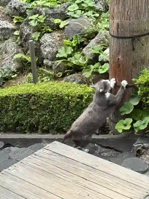 不二阿祖山太神宮(山梨県)