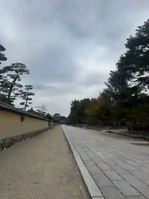 法隆寺の{uncategorized: "未分類", other: "その他", undefined: "問題あり", building: "その他建物", grave: "お墓", sacred_gate: "鳥居", guardian: "狛犬", statue: "像", buddha: "仏像", history: "歴史", nature: "自然", garden: "庭園", animal: "動物", pagoda: "塔", temizu: "手水舎", mountain_gate: "山門・神門", sanctuary: "本殿・本堂", subordinate: "末社・摂社", art: "芸術", scenery: "景色", jizo: "地蔵", ema: "絵馬", goshuin: "御朱印", omikuji: "おみくじ", items: "授与品その他", amulet: "お守り", goshuincho: "御朱印帳", eats: "食事", festival: "お祭り", votive_dance: "神楽", shichigosan: "七五三参", wedding: "結婚式", experience: "体験その他", initially: "初詣", around: "周辺", anti_infection: "感染症対策"}