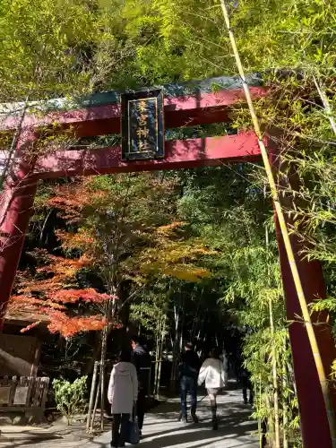 來宮神社(静岡県)