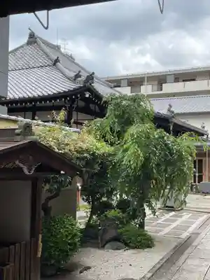大蔵寺(京都府)