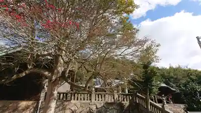 素盞嗚神社(岡山県)
