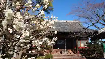 法輪寺の本殿・本堂