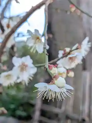 田端神社(東京都)