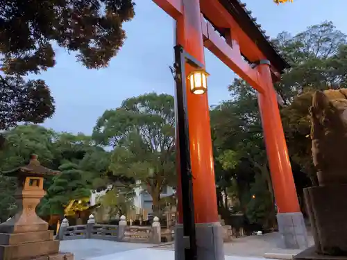 平塚八幡宮の鳥居