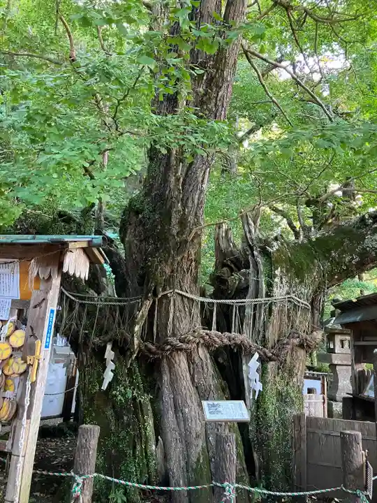 伊那下神社(静岡県)