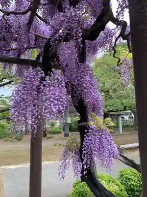 玉敷神社(埼玉県)