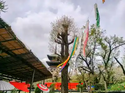 上野東照宮の{uncategorized: "未分類", other: "その他", undefined: "問題あり", building: "その他建物", grave: "お墓", sacred_gate: "鳥居", guardian: "狛犬", statue: "像", buddha: "仏像", history: "歴史", nature: "自然", garden: "庭園", animal: "動物", pagoda: "塔", temizu: "手水舎", mountain_gate: "山門・神門", sanctuary: "本殿・本堂", subordinate: "末社・摂社", art: "芸術", scenery: "景色", jizo: "地蔵", ema: "絵馬", goshuin: "御朱印", omikuji: "おみくじ", items: "授与品その他", amulet: "お守り", goshuincho: "御朱印帳", eats: "食事", festival: "お祭り", votive_dance: "神楽", shichigosan: "七五三参", wedding: "結婚式", experience: "体験その他", initially: "初詣", around: "周辺", anti_infection: "感染症対策"}