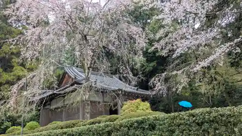 醍醐寺(京都府)