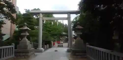 松戸神社の鳥居