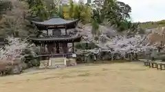 勧修寺(京都府)