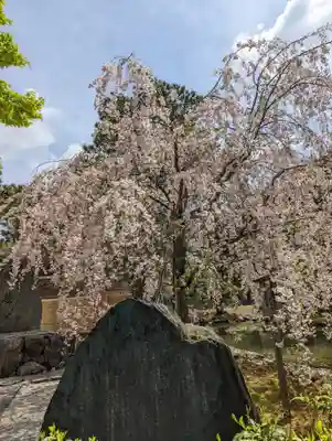 建仁寺（建仁禅寺）(京都府)