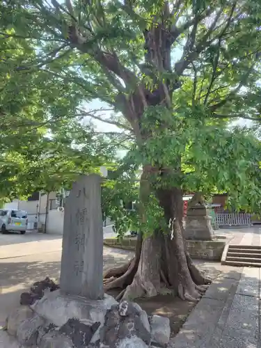 滝野川八幡神社(東京都)