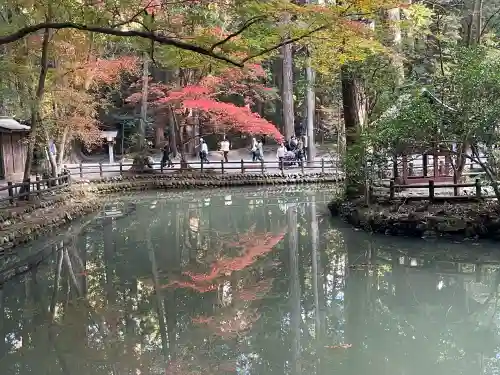 小國神社(静岡県)