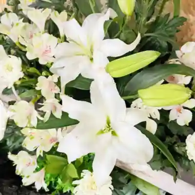 彌彦神社　(伊夜日子神社)の手水舎