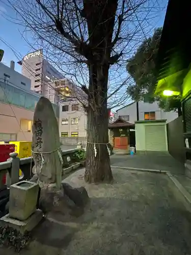 瑜伽神社　(大黒神社、蛭子神社)の自然