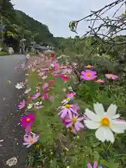 事任八幡宮(静岡県)