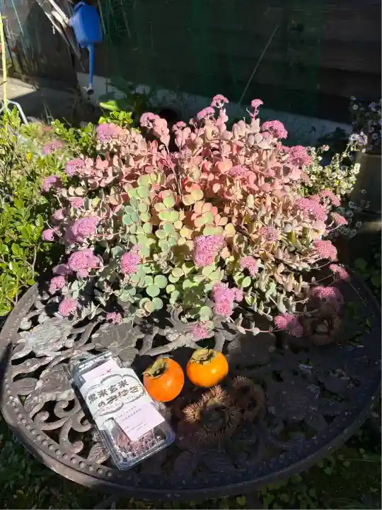 龍姫神社(広島県)