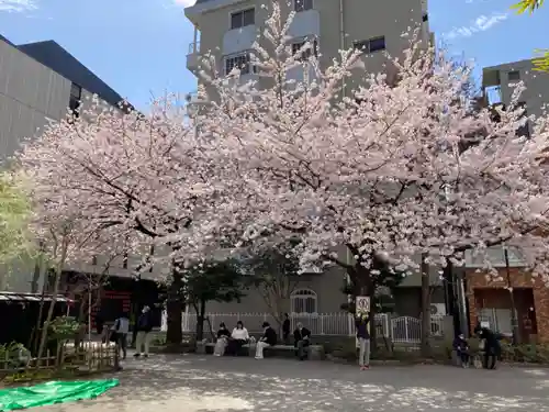 神田神社（神田明神）の自然