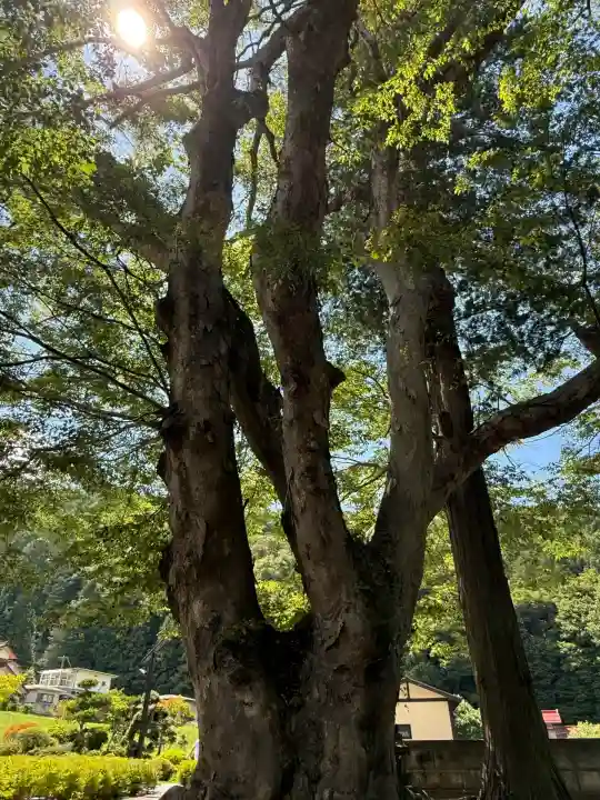 諏訪大社上社前宮(長野県)